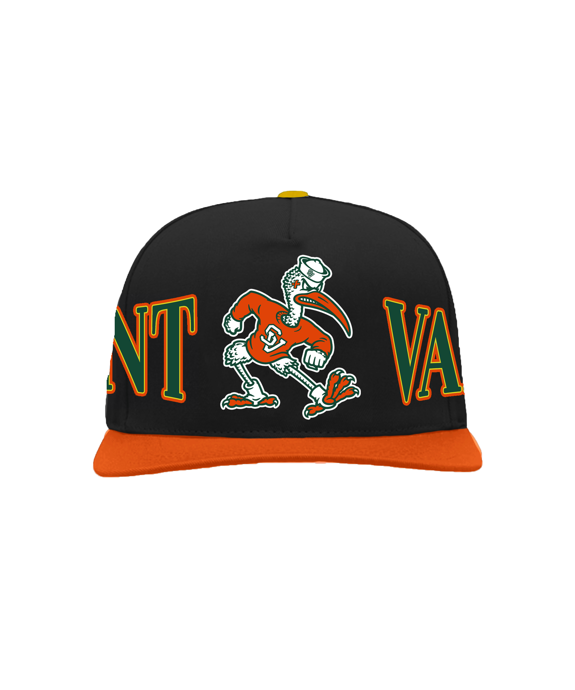 CANES SNAPBACK+