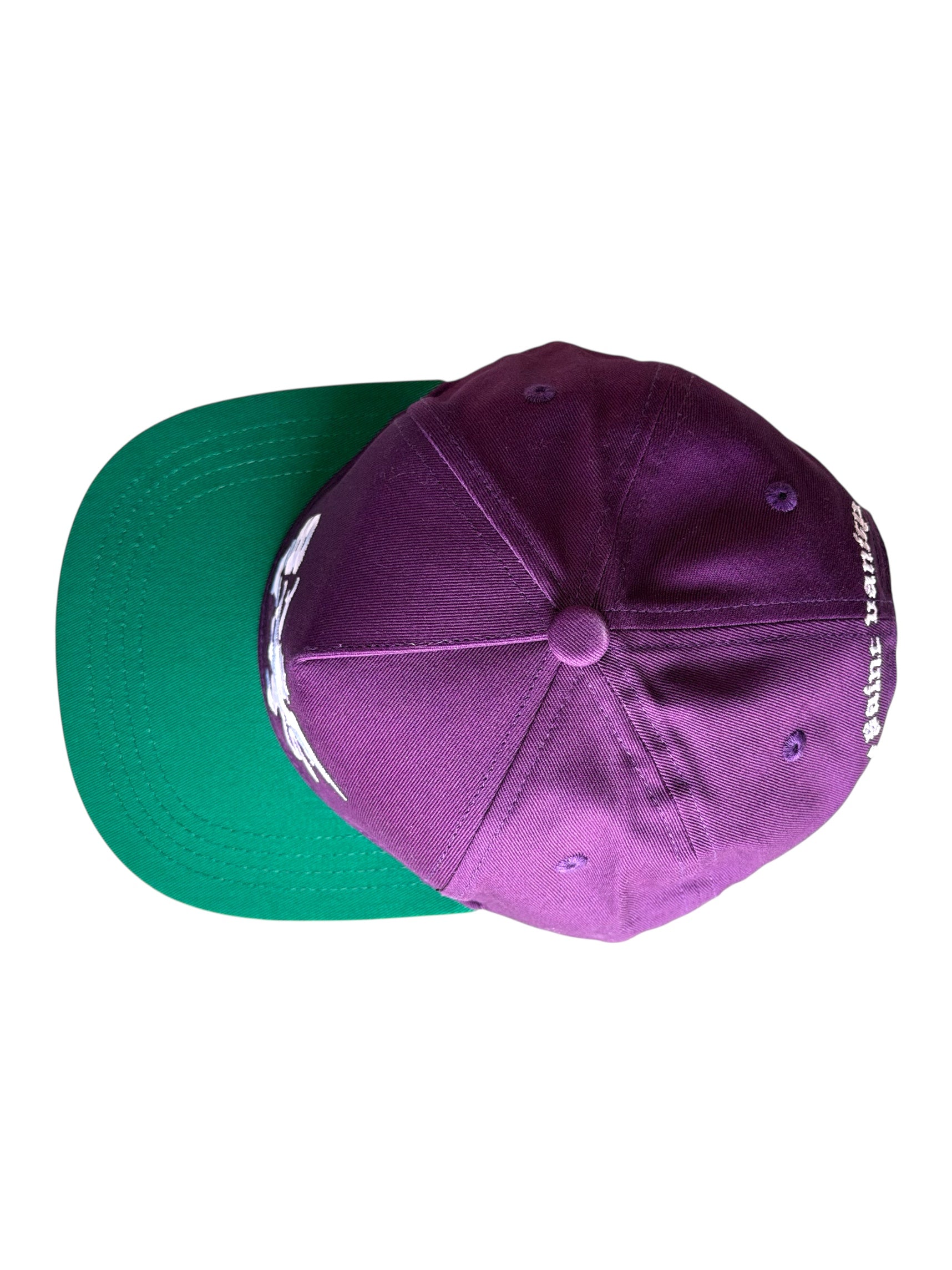 Plum & Green Griffin Snapback