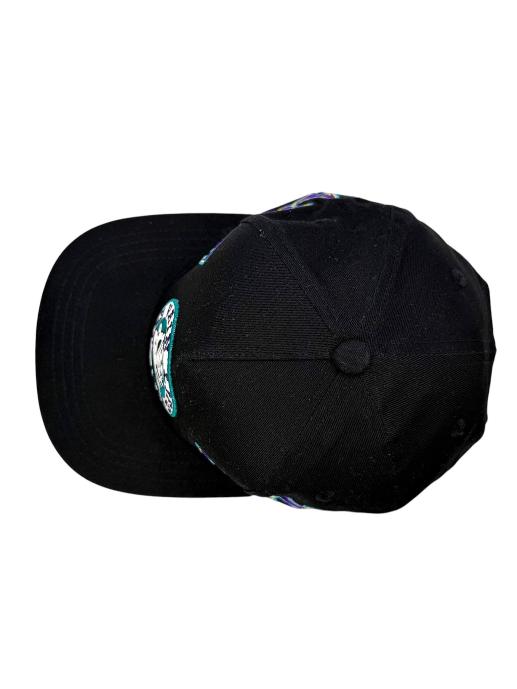 Vain Life Ducks Snapback